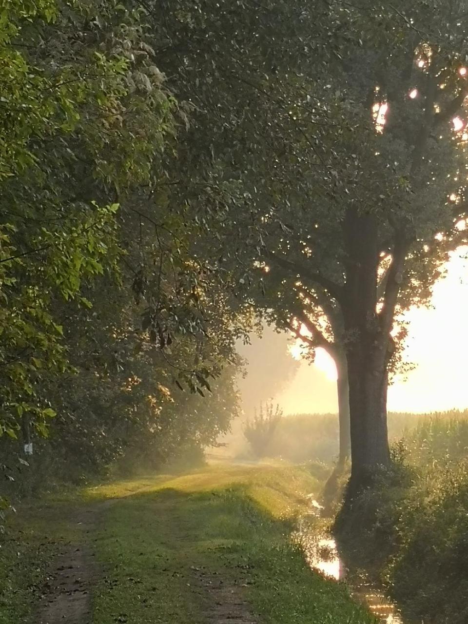 Agriturismo Tenuta "Il Cigno" Villanterio Exteriör bild